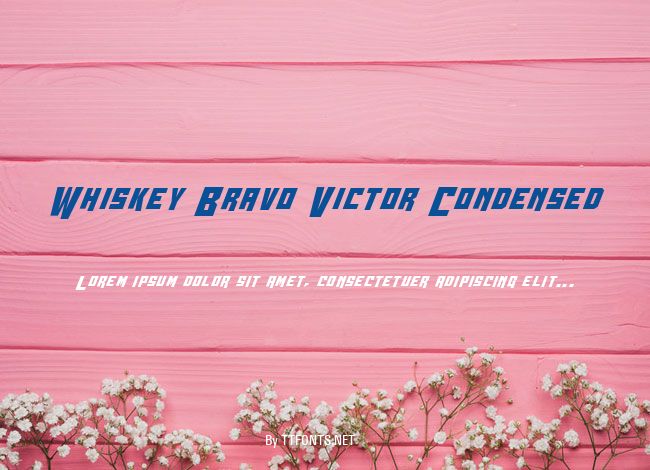 Whiskey Bravo Victor Condensed example